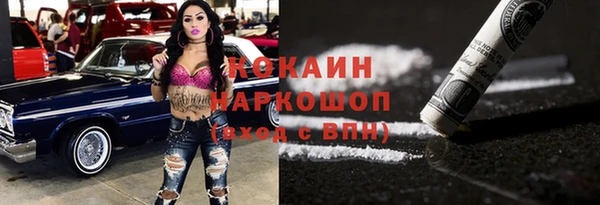 прущий лед Каменка