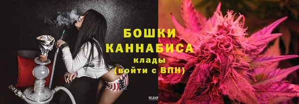 крисы Каменногорск
